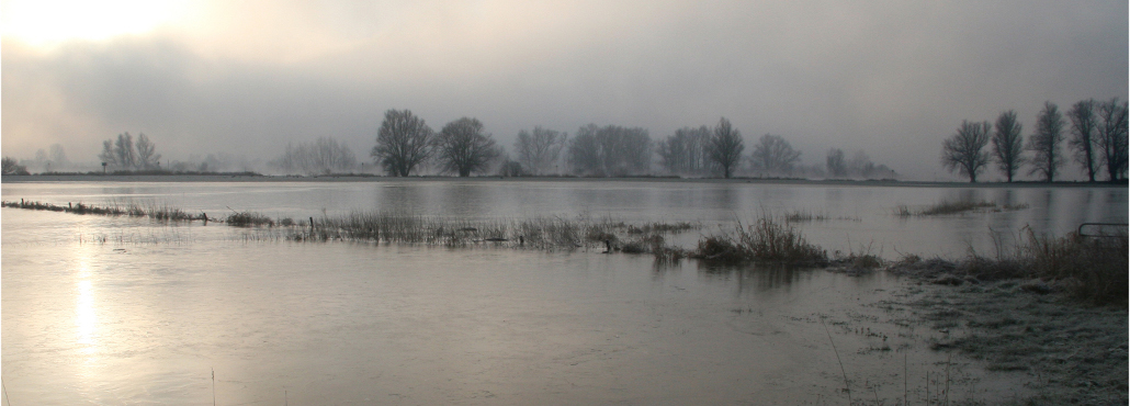 De bevroren uiterwaarden van de Ijssel